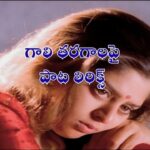 Gaali tharagalapai, Premikudu