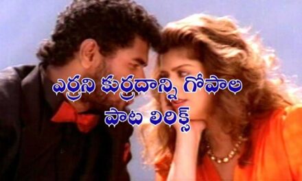 ఎర్రాని కుర్రదాన్ని గోపాల పాట లిరిక్స్
