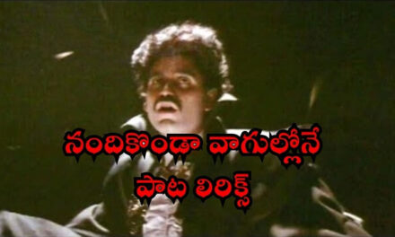 Nandi Konda Vagullona Song Lyrics